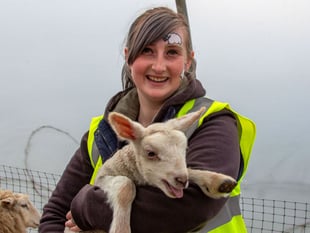 Woolly good time as hundreds flock to lambing days at Meon Valley farm