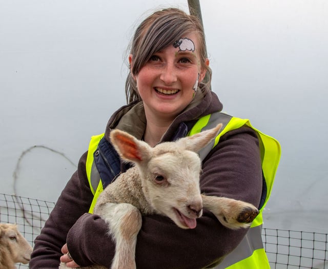 Woolly good time as hundreds flock to lambing days at Meon Valley farm