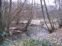 Petersfield-area volunteers needed to test the water quality of Rother