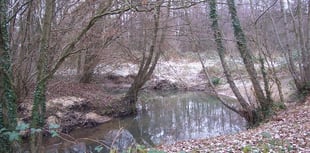Petersfield-area volunteers needed to test the water quality of Rother