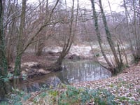 Petersfield-area volunteers needed to test the water quality of Rother