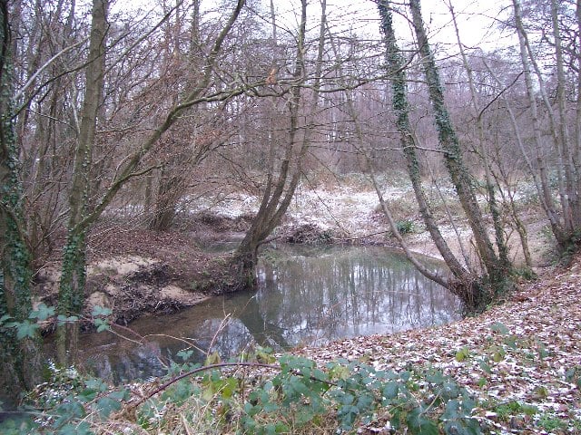 Petersfield-area volunteers needed to test the water quality of Rother