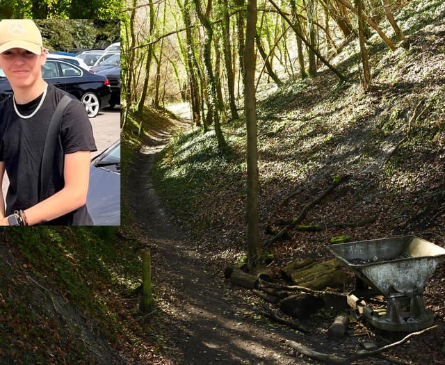 'Miracle teen' on mend after 25ft fall as mother thanks rescuers