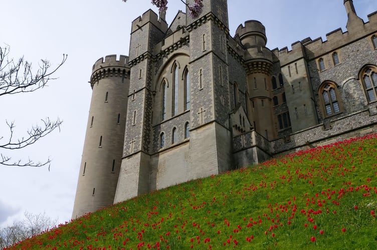 Arundel Ramble Pic3
