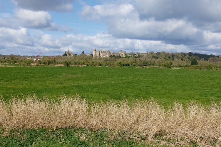 Arundel Ramble Pic2