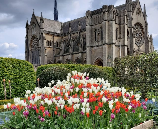 Ramblers go Dutch as tulip festival among highlights of Arundel walk