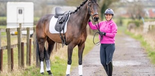 Horse with a broken neck returns to competition