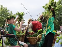 Interest continues to grow in Alresford Watercress Festival
