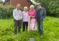 Maple dedicated to Canadian troops who camped in Buriton ahead of D-Day