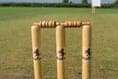 Hampshire county scheme bats for young cricketers