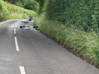 Fly-tippers leave trail of rubbish along Clanfield lane