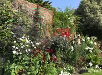 Interest growing in garden open events