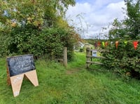 Get creative in the community garden