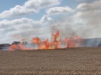 Fields of fire as crews battle blaze at Medstead farm