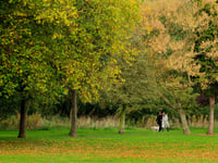 Access to green space in East Hampshire lower than South East average