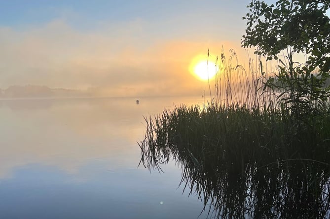 cold-water-swimming-at-frensham-ponds-the-ultimate-mental-health-boost