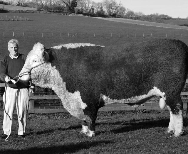 Foundation will be legacy to Alton's first mayor