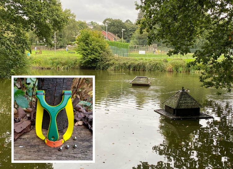 Newman Collard Pond Liss Catapult