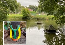 Catapult concerns as ducks found dead at Liss pond