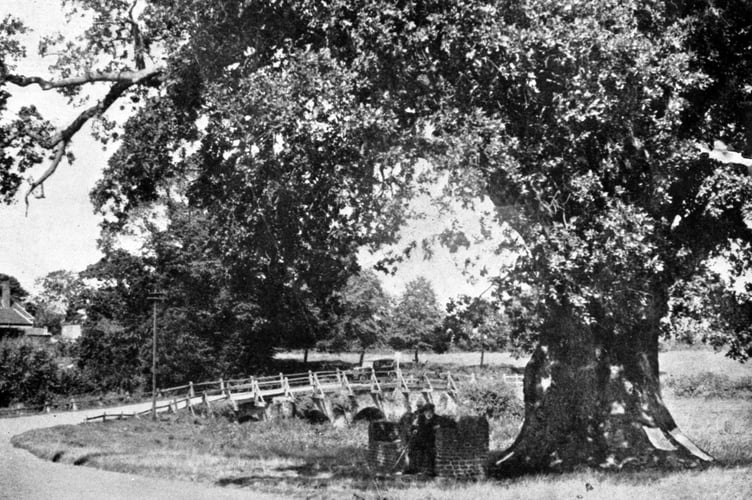 The King's Oak on Tilford village green is reputed to be "the" tree in which King Charles I hid while escaping from Parliamentary forces. That claim is disputed, but indisputable is that Charles I stayed in Farnham while he was on his way from prison in the Isle of Wight to his execution in London. But where?