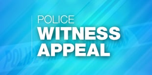 Man dies in Hampshire after tree falls on car during Storm Bert