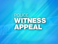 Man dies in Hampshire after tree falls on car during Storm Bert