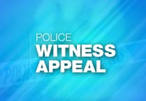 Witnesses sought after A31 crash