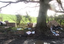Four Marks resident fined more than £1,000 for fly tipping