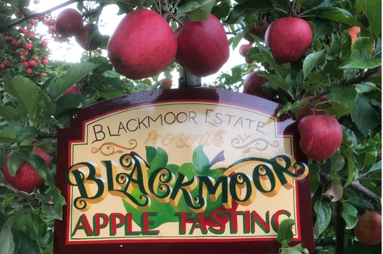Blackmoor Estate Apple Tasting
