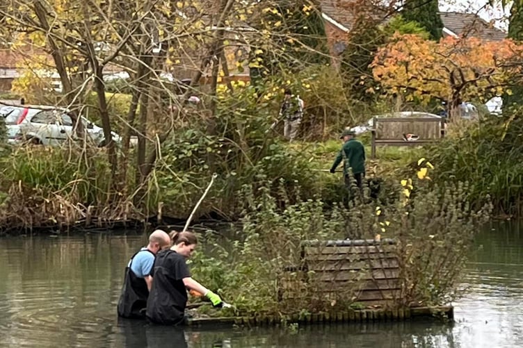 Volunteer help clear Badshot Lea pond