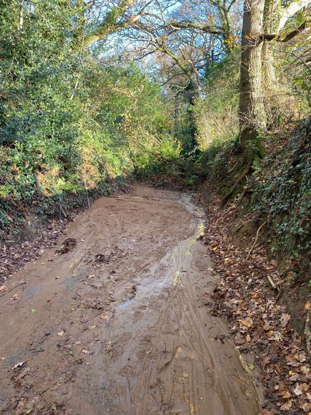 Tanners Lane Liss verges collapsed