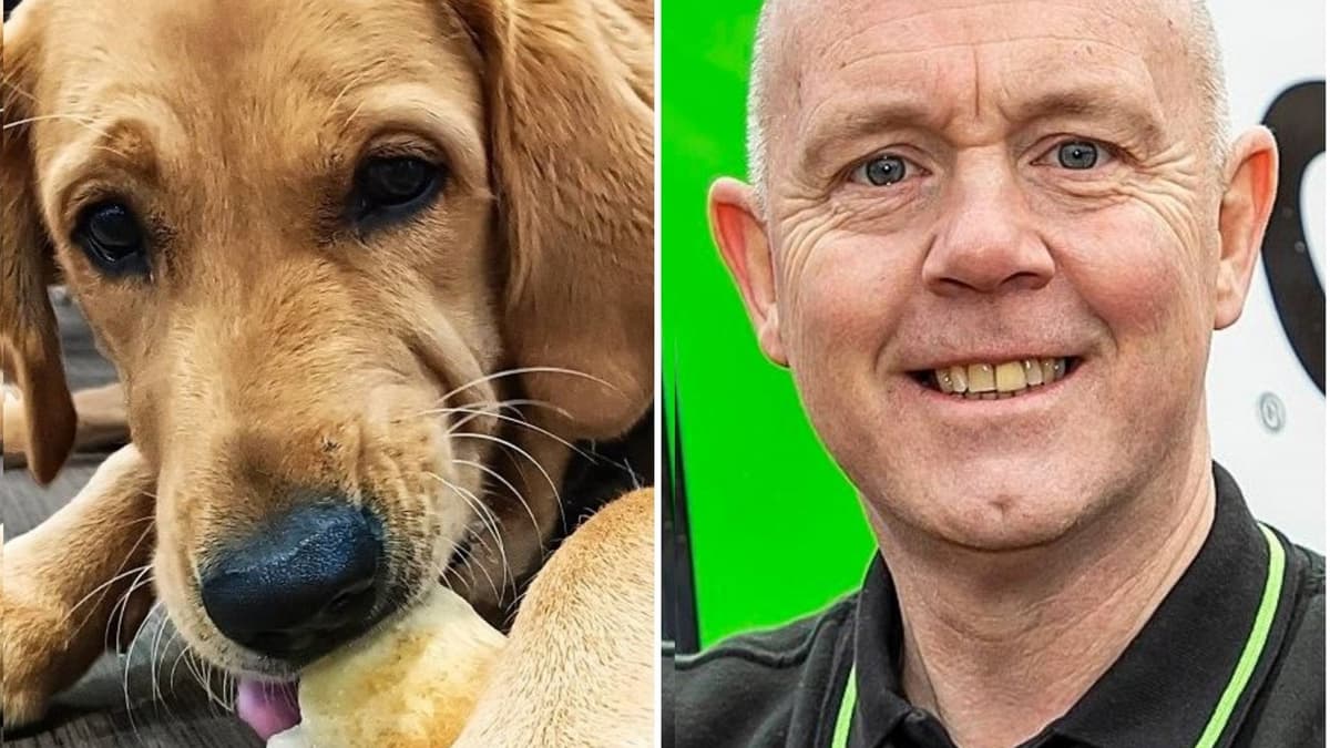 Petersfield cleaning firm founder has pedigree chum in Guide Dog Ralph ...