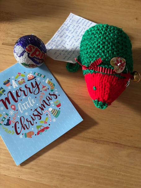 Clanfield hedgehog knitter