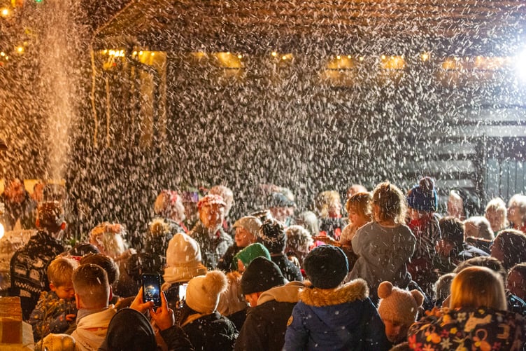 Sky Park Farm Christmas 2024