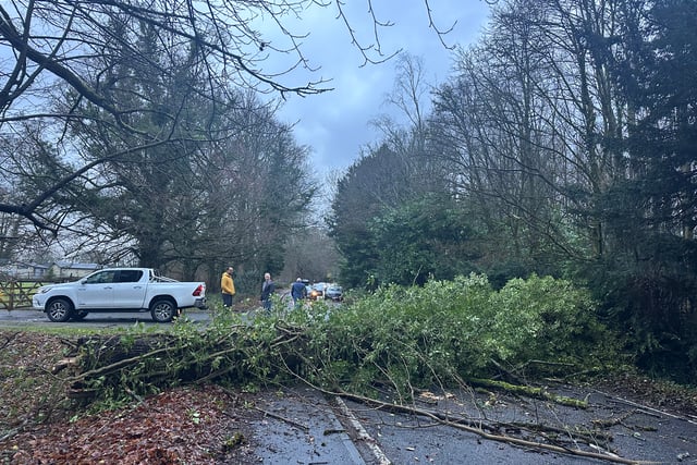 DAY TWO: Live Storm Darragh updates from Herald & Post area 