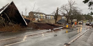 Trees downed and power lost as Storm Darragh leaves its mark