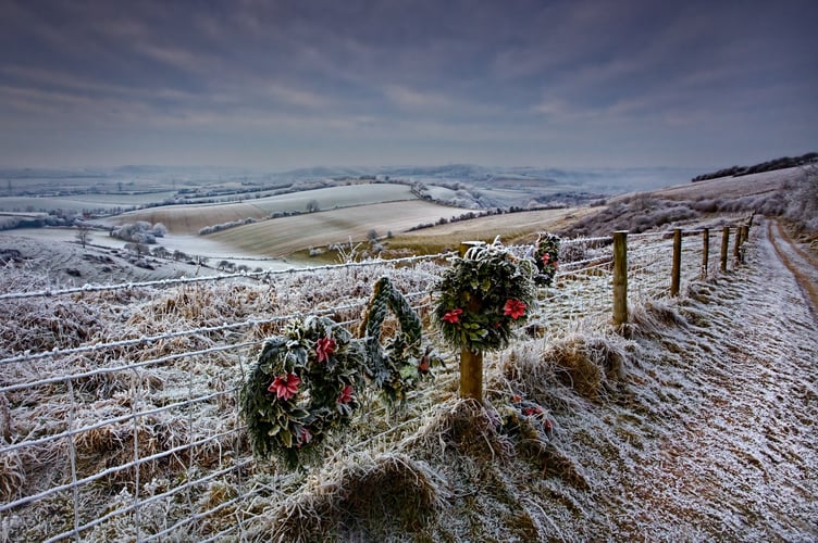 Butser Hill Hampshire