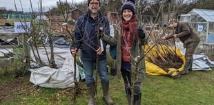 PeCAN's fruit tree in every garden project returns