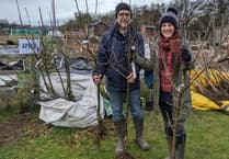 Branch meeting: tree collectors can learn about bid to make Petersfield greener