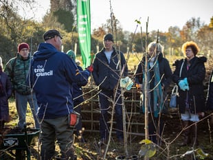 Community unites to plant over 900 trees for a greener future