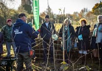 Petersfield community unites to plant over 900 trees for a greener future