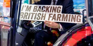 Damian Hinds MP reflects on 2024