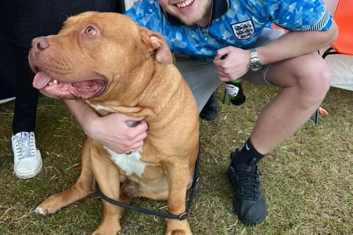 Ziggy Chunky dog Hale Carnival