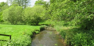 Your letters to the editor: Keep the River Wey flowing