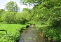 Your letters to the editor: Keep the River Wey flowing
