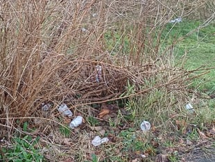 Your letters to the editor: Litterbugs are a disgrace to this country