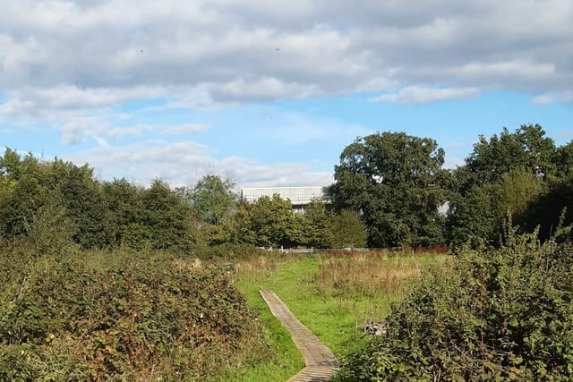 Horndean Green Trail and Heritage Network receives funding boost  
