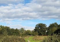 Horndean Green Trail and Heritage Network receives funding boost