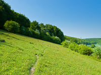 Buriton nature reserve expands thanks to supporters