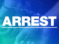 Men arrested as part of burglary investigation 